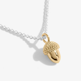 Joma Jewellery 5277 A Little Strength Acorn Necklace