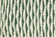 Artichoke Green Abstrect