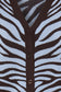 Animal Java