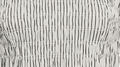 Black Stripe