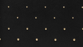 Black Studded