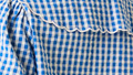 Blue Gingham
