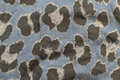 Blue Leopard