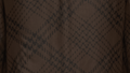 Brown Check Print