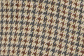 Brown Check