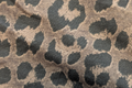 Brown Leopard