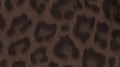 Chocolate Leopard