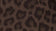 Chocolate Leopard
