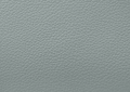 Duck Egg Blue