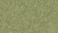 Grape Leaf Melange