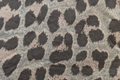 Grey Leopard