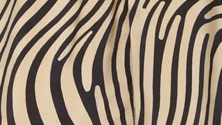 B Young Helvig Zebra Swirl Print Blouse