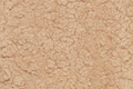 Humus