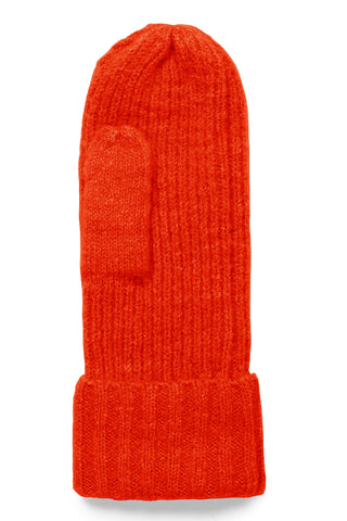 Ichi Iaivo Mittens