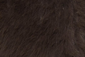 Java Melange