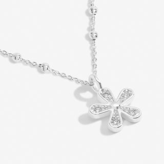 Joma Jewellery 6928 A Little If Mums Were Flowers I'd Pick You Bracelet