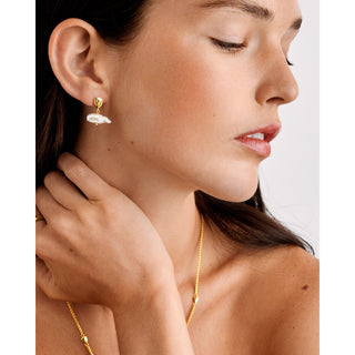 Katie Loxton Sol Pearl Bar Earrings