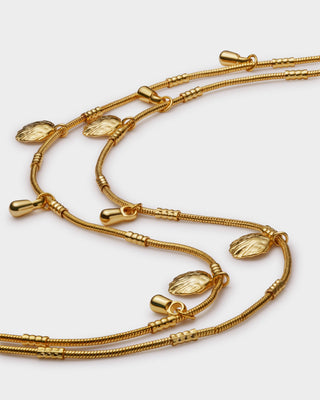 Katie Loxton Cochellia Anklet