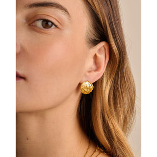 Katie Loxton Cochellia Earrings
