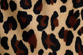 Leopard Cord