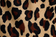 Leopard Cord