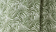 Light Khaki Zebra