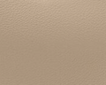 Light Taupe