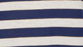 Medieval Blue Stripe