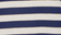 Medieval Blue Stripe