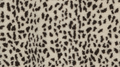 Neutral Spots