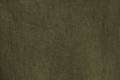 Olive Night