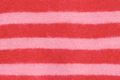 Poinsettia Pink Stripe