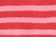 Poinsettia Pink Stripe