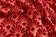 Red Multi