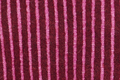 Rhododendron Pink Stripe
