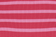 Small Azalea Pink Stripe