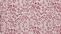 Tawny Port Mini Flower