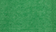 Vibrant Green
