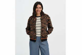 Zebra bomber on model